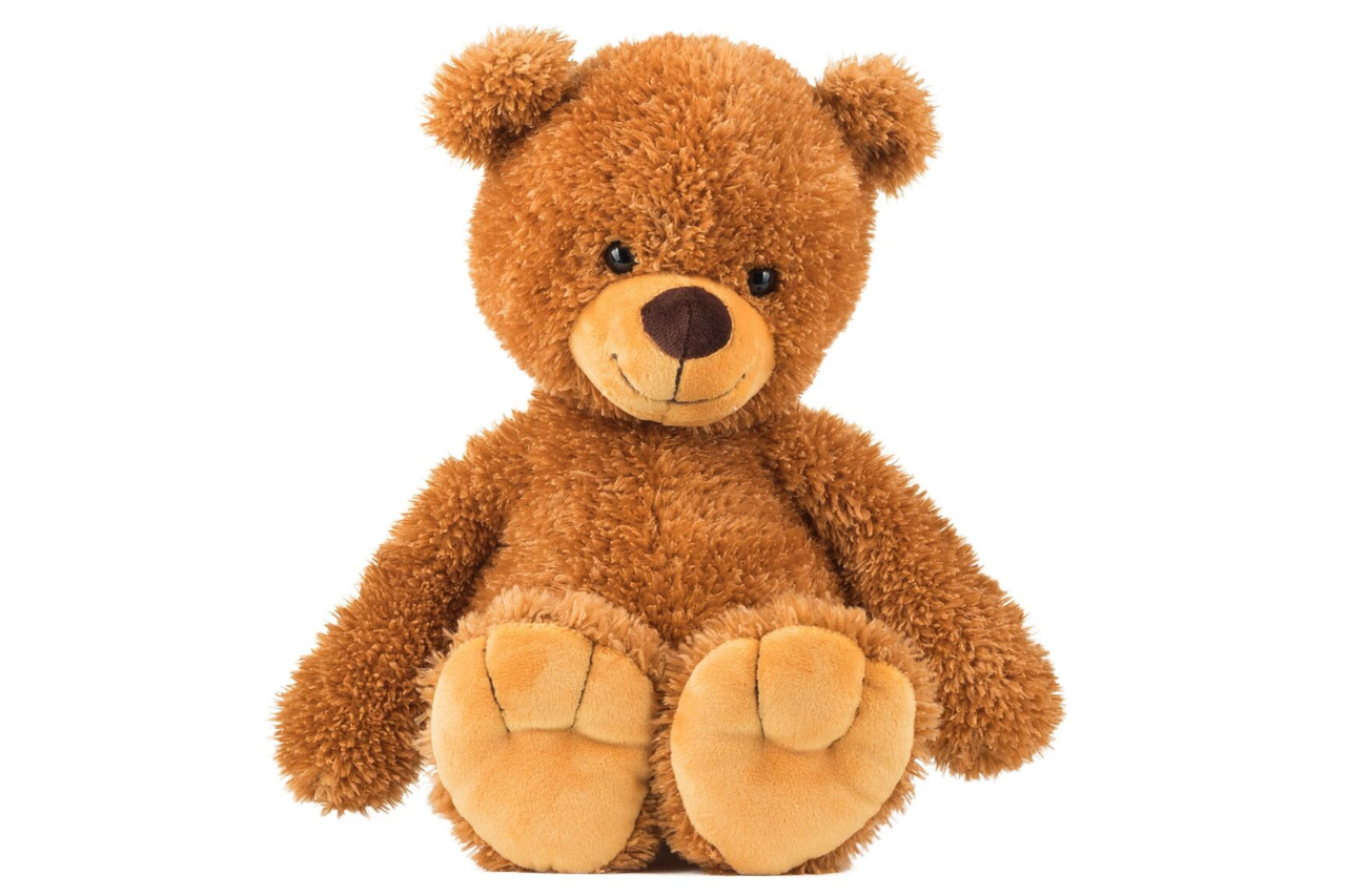 10016-l-teddy-tom-02.png